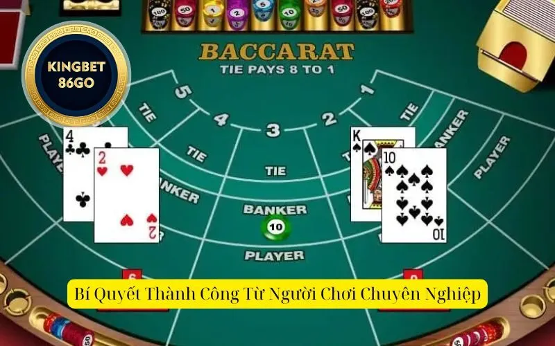 Bí Quyết Thành Công Từ Người Chơi Chuyên Nghiệp