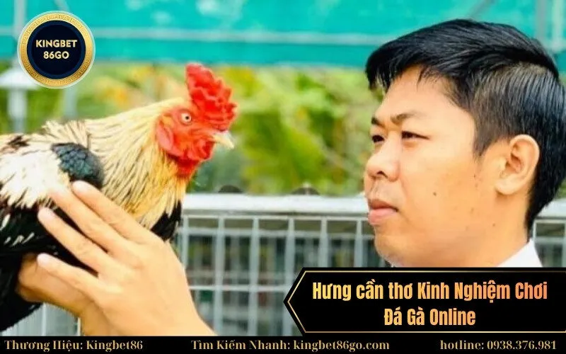 Hưng cần thơ Kinh Nghiệm Chơi Đá Gà Online