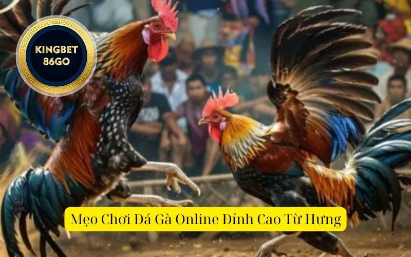 Mẹo Chơi Đá Gà Online Đỉnh Cao Từ Hưng
